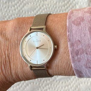 Skagen women's sliver steel mesh watch